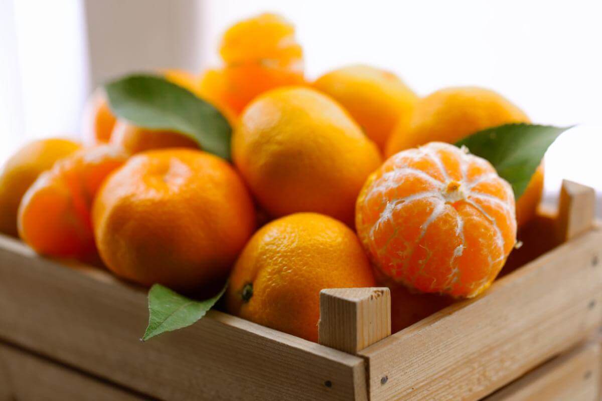 Clementine di Calabria Fresche - Appena Raccolte 25 kg, dolci e senza semi, raccolte a mano.