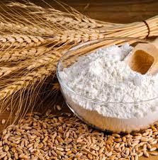 Farina Biologica di Grani Antichi in a bowl with whole grains and wheat stalks.