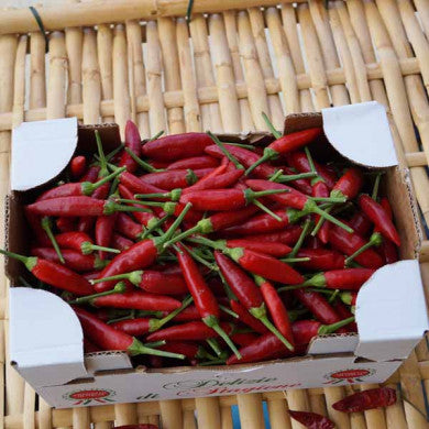 Peperoncino Fresco Calabrese in una scatola con peperoncini rossi freschi, pronti per cucinare.