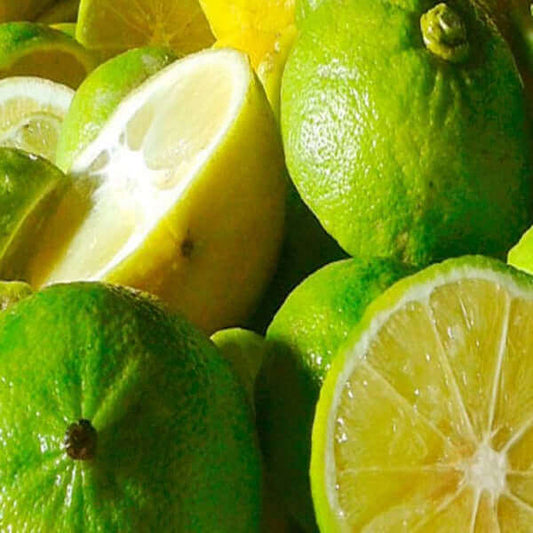 Bergamotto fresco l'originale di Reggio Calabria: agrumi verdi e gialli, perfetti per dolci e tè.