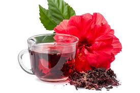 Karkadè Rosso essiccato con infuso in tazza e fiore rosso, un drink rinfrescante dal colore vivo.