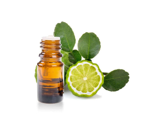 Essenza di Bergamott in bottiglia con lime bergamotto fresco e foglie verdi.