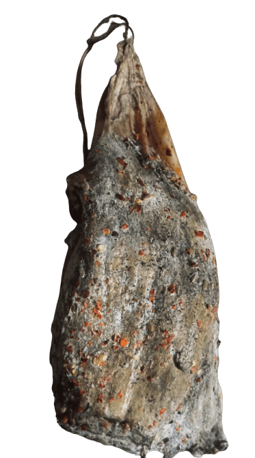 Prosciutto Crudo - Reale, traditional Calabrian dry-cured ham with natural seasoning and slight smokiness.