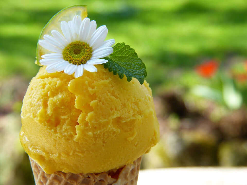 Refreshing mango ice cream cone decorated with a white daisy flower and green mint leaf outdoors in a sunny garden.