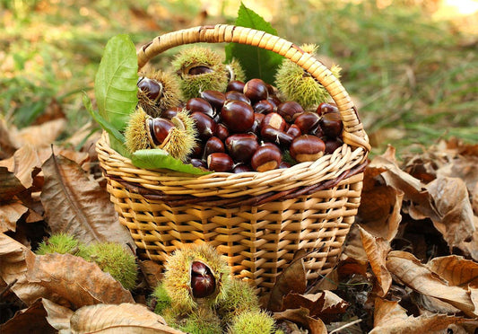 Castagne Calabria - box da 5 kg