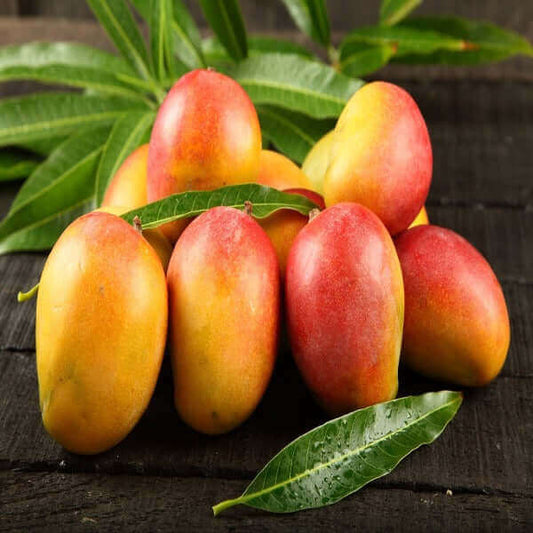 Fresh ripe mangoes with leaves on a dark wooden background