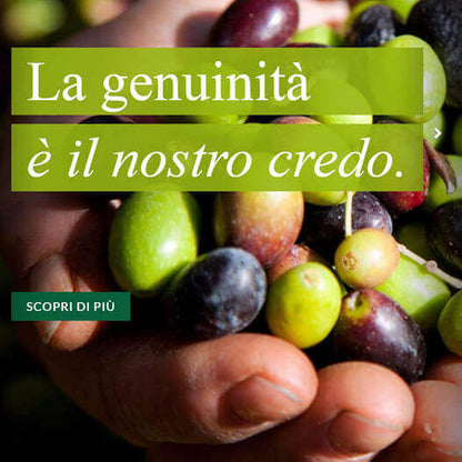 Olio di Oliva 100% Italiano Biologico da Molitura a Freddo - Olio - horecahub.myshopify.com